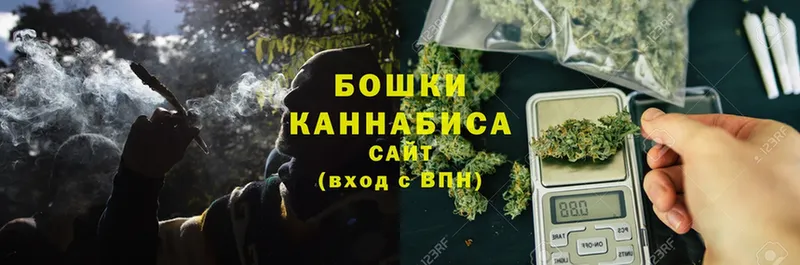 Шишки марихуана OG Kush  Балтийск 